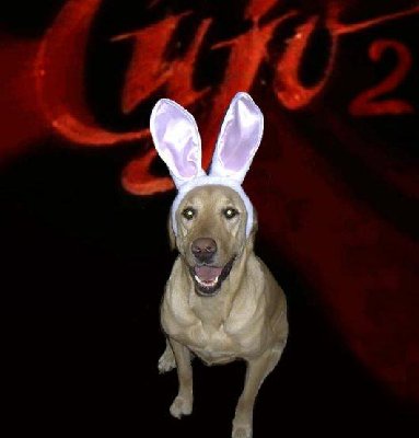 Cujo2.JPG